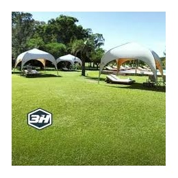 CARPA TAJ MAHAL 3H...