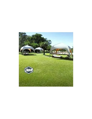 CARPA TAJ MAHAL 3H...