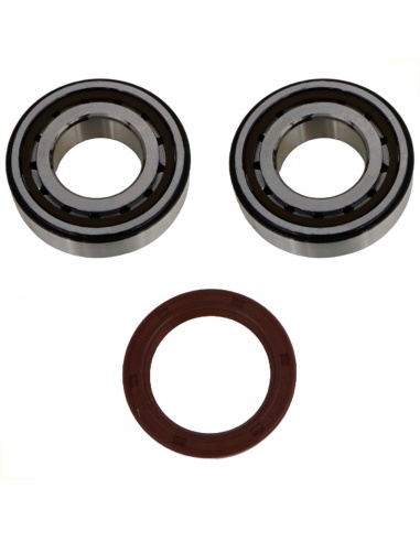 KIT RULEMANES Y RETENES BANCADA KTM PROX