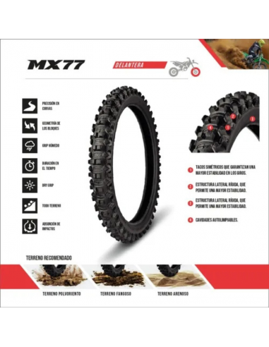 BORILLI MX77